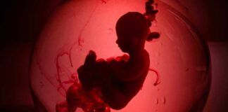 Silhouette of a fetus inside a glowing red orb.