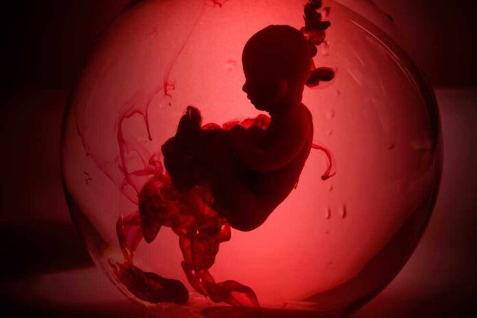 shutterstock_2178695467.jpg featured image Silhouette of a fetus inside a glowing red orb.