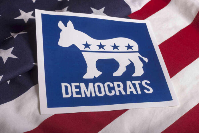 Democratic Party logo on American flag background.