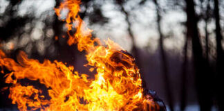A silhouette of a person engulfed in flames in a forest setting