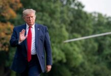 President Donald Trump