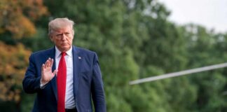President Donald Trump
