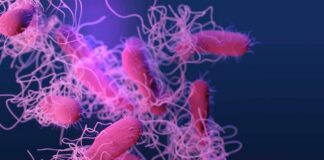 Illustration of bacteria with long flagella against a colorful background