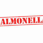 Coffee Shop Staple PULLED – Salmonella Risk Uncovered Red stamp with the word 'SALMONELLA' indicating a health warning