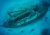 Underwater shipwreck with divers and school of fish.