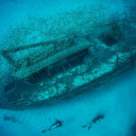Deep Sea Discovery Shakes Evolution Views Underwater shipwreck with divers and school of fish.