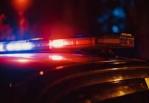 Close-up of a police car's emergency lights at night