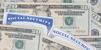 A collection of twenty-dollar bills and social security cards