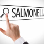 Salmonella Threat: Top Spice YANKED Nationwide! Hand pointing to a search bar with the word Salmonella