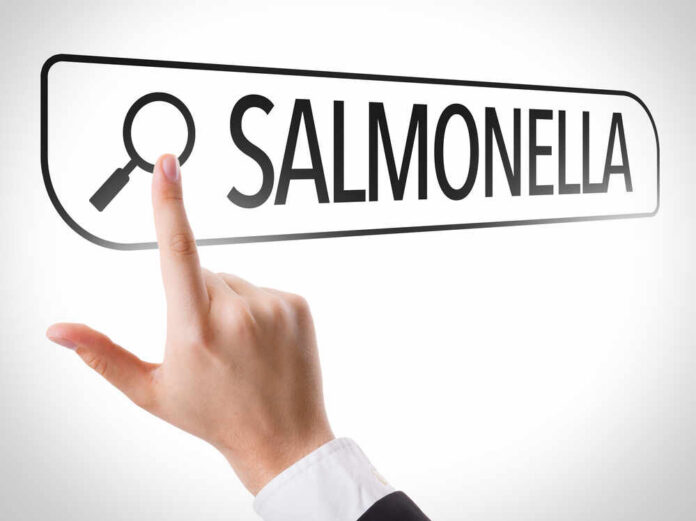 Hand pointing to a search bar with the word Salmonella