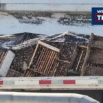 Bee Armageddon on I-35 Load of bees spilled during crash on I-35 likely headed to California, expert says