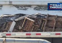 Load of bees spilled during crash on I-35 likely headed to California, expert says