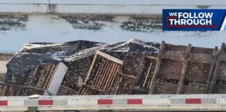 Load of bees spilled during crash on I-35 likely headed to California, expert says