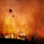 Deadly Burnover Exposes Hidden Wildfire Gamble Helicopter fighting massive forest fire with water bucket.