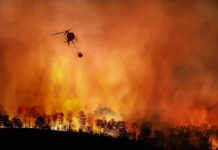 Deadly Burnover Exposes Hidden Wildfire Gamble Helicopter fighting massive forest fire with water bucket.