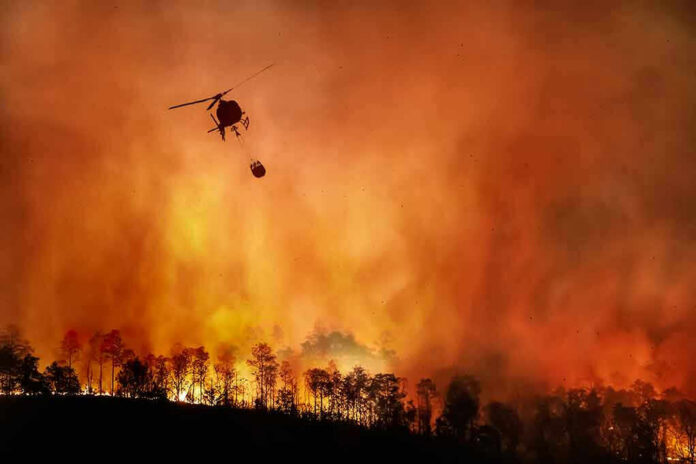 1810018291 Helicopter fighting massive forest fire with water bucket.