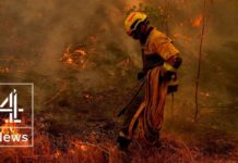 Europe wildfires: Flames just kilometers from Bordeaux