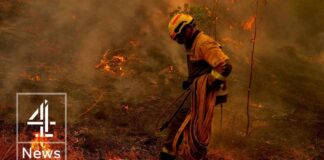 Europe wildfires: Flames just kilometers from Bordeaux