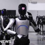 Robot Ban Draws a Red Line FCC chair Carr defends new ban on foreign-made humanoid robots