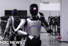 FCC chair Carr defends new ban on foreign-made humanoid robots