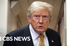 Judge Slams Trump: Sham IRS Deal Exposed? Judge rebukes Trump and DOJ over IRS lawsuit, refers lawyer for disciplinary proceedings