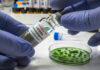Deadly Germ Lurks In Deli Meat? A laboratory technician holding a vial labeled 'Listeria monocytogenes' above a petri dish with green culture
