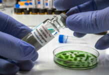 Deadly Germ Lurks In Deli Meat? A laboratory technician holding a vial labeled 'Listeria monocytogenes' above a petri dish with green culture