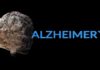 Terrifying Blood Test Flags Alzheimer’s Decades Early Person in blue gloves handling test tubes in a laboratory