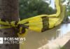 Harbor Fight Turns Deadly Man charged with murder after allegedly shoving man into Baltimore's harbor