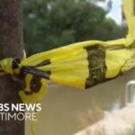 Harbor Fight Turns Deadly Man charged with murder after allegedly shoving man into Baltimore's harbor