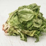 Wilted lettuce head on a white wooden surface