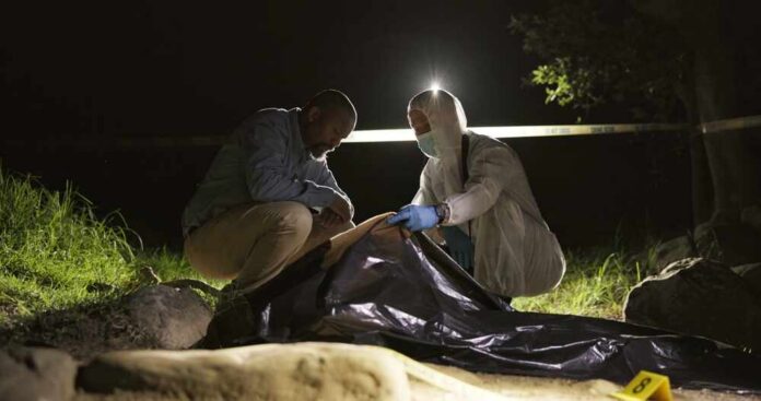 forensic team examines a body bag at a nighttime outdoor crime scene