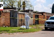 7th woman's body found in South Africa sparks fear of a potential serial killer
