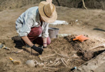Amazing Discovery: Lost Monastery Found Under Soccer Field Archaeologist excavating skeletal remains at an archaeological site.