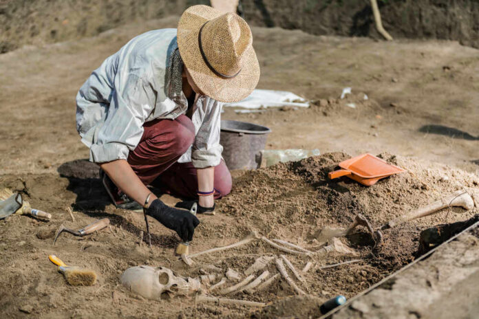 shutterstock_1648973563 Archaeologist excavating skeletal remains at an archaeological site.