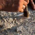 VIDEO: Ark Evidence Near Ararat Sparks Fresh Frenzy Archaeologist brushing dust from a small artifact in the ground