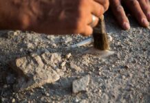 Archaeologist brushing dust from a small artifact in the ground