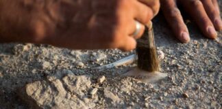 Archaeologist brushing dust from a small artifact in the ground