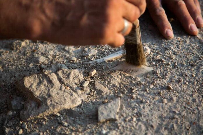 An,Archaeologist,Cleans,A,Found,Artifact,In,The,Form,Of Archaeologist brushing dust from a small artifact in the ground