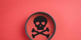 Magnifying glass focusing on a skull and crossbones symbol against a red background
