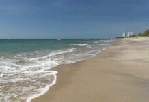 Sandy beach with gentle waves under a clear blue sky