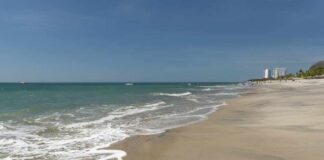 Sandy beach with gentle waves under a clear blue sky